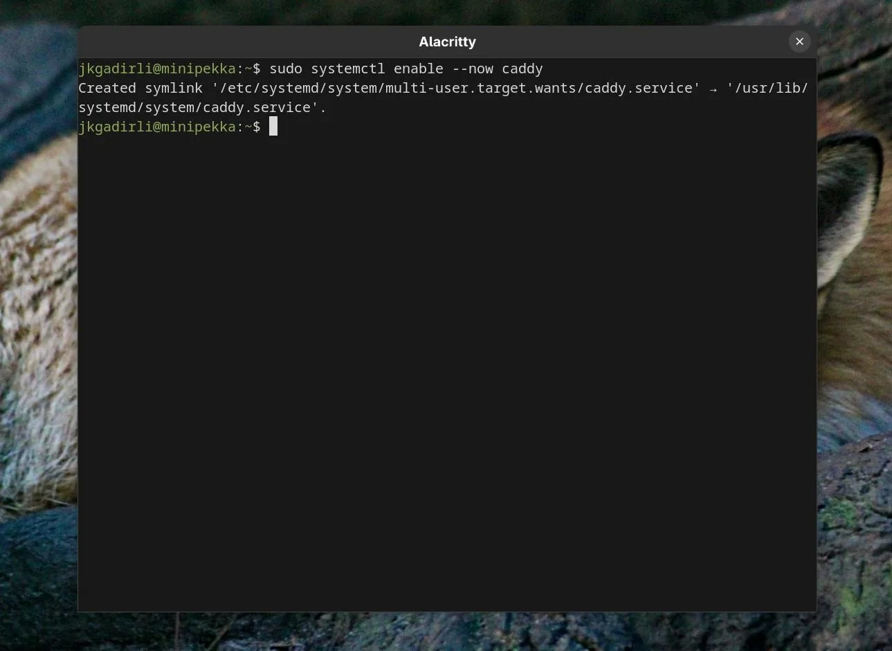 enable caddy server with systemctl