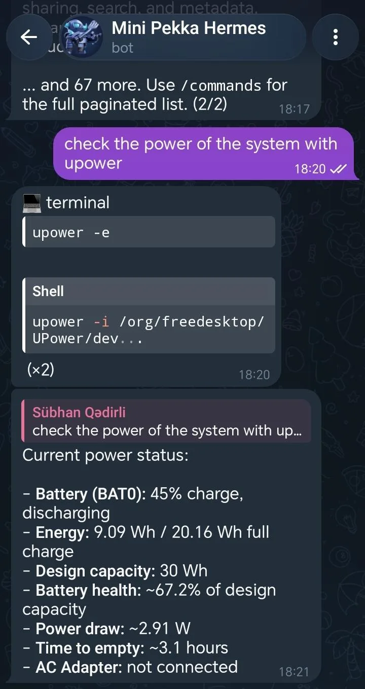 Telegram bot of Hermes Agent
